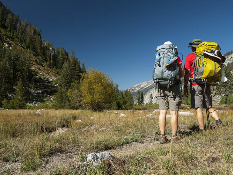 Survival Tips For Back Packers