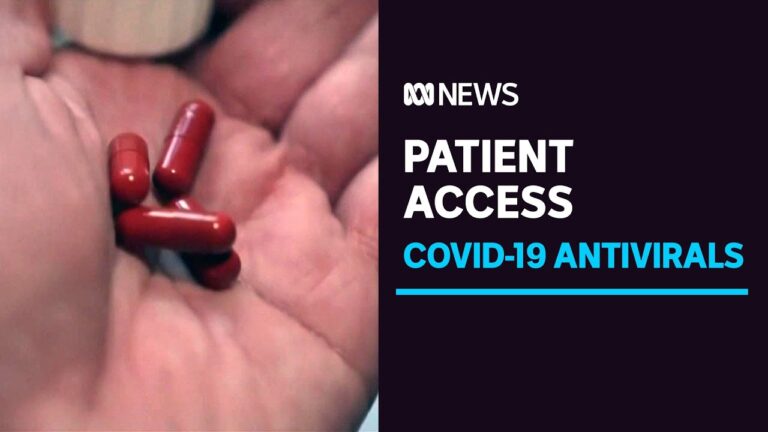AMA worried about patient access to COVID antiviral drugs | ABC News