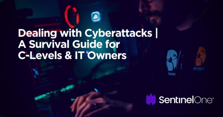 Dealing with Cyberattacks | A Survival Guide for C-Levels & IT Owners
