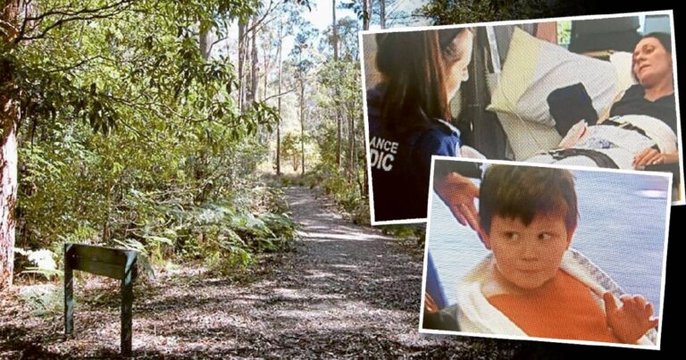Lost in Hunter bush: mother and son's incredible survival story – Newcastle Herald